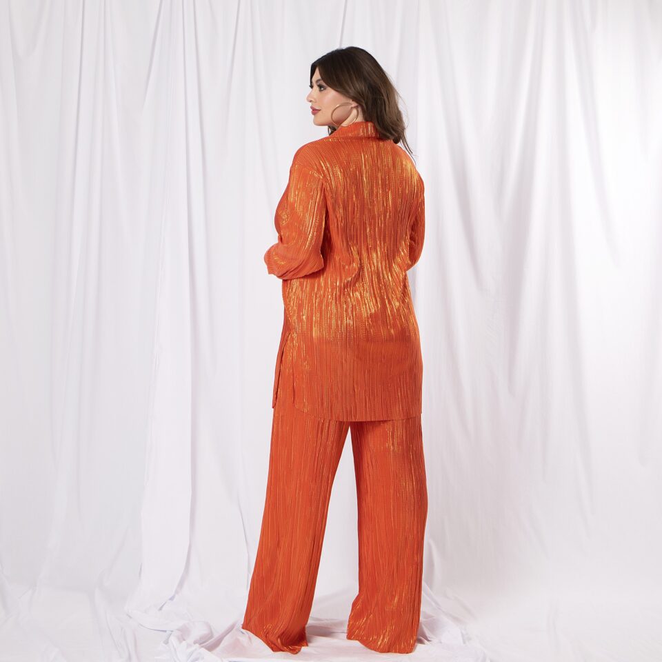 ΠΑΝΤΑΛΟΝΑ ΠΛΙΣΣΕ